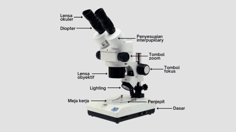 Bagian-Bagian Mikroskop