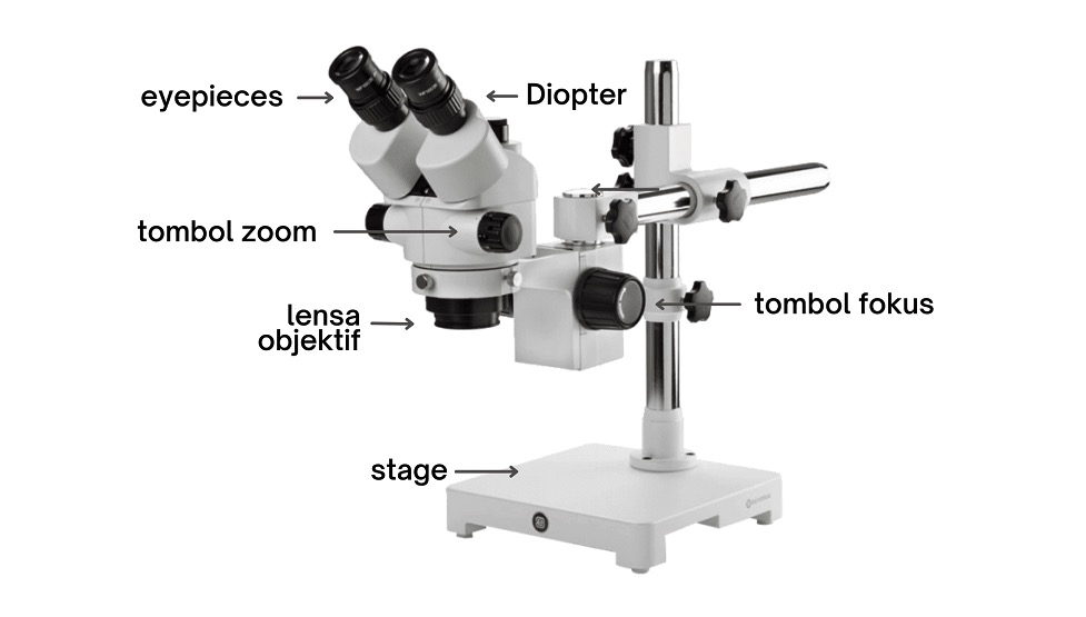 Bagian-Bagian Utama Mikroskop